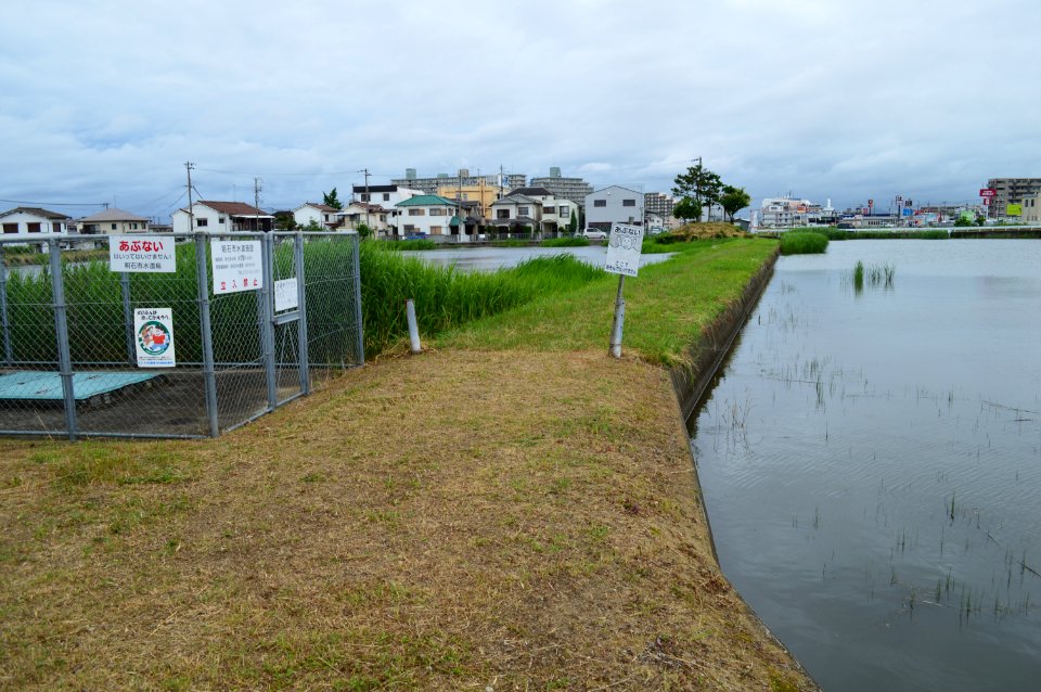 Hiezawa Pond, teibou