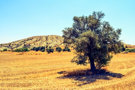 Landscape summer scenery photo