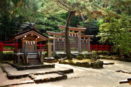 Hibara-jinja, torii-3