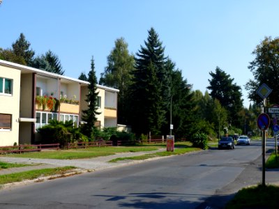 Hildburghauser Straße (Berlin-Lankwitz)