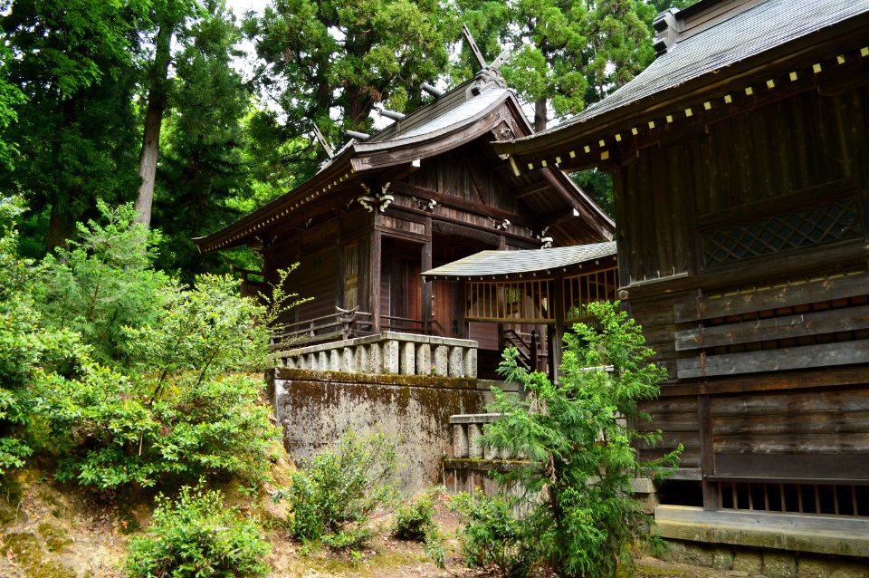 Hida-jinja (Myoko), honden