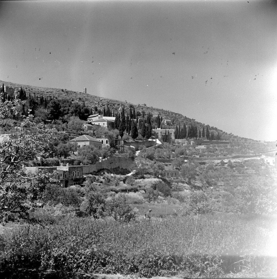 Heuvels en terrassen bij Ain Karem (Ein Kerem), Bestanddeelnr 255-0426