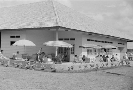 Het terras, Bestanddeelnr 194-3-3