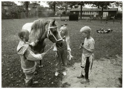 Het terrein aan de Pladellastraat waar de wijk een multifunctioneel centrum wil, met onder meer een sporthal. NL-HlmNHA 54035291