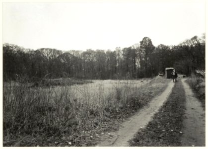 Het terrein van het voormalige landhuis Kareol. NL-HlmNHA 54032186