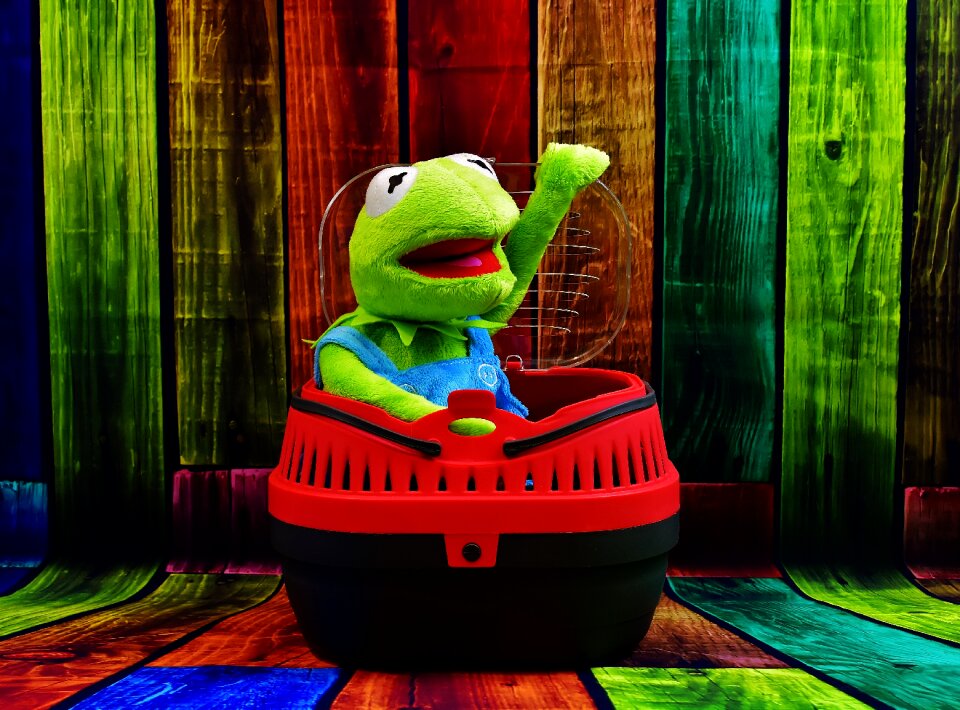 Transport box funny frog