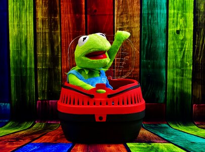 Transport box funny frog