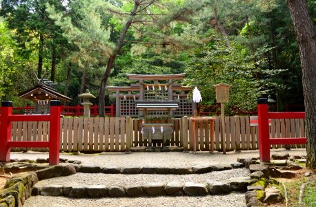 Hibara-jinja, torii-1