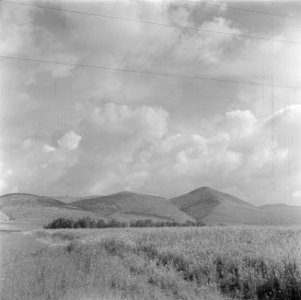 Heuvellandschap in de omgeving van Nazareth, Bestanddeelnr 255-0817