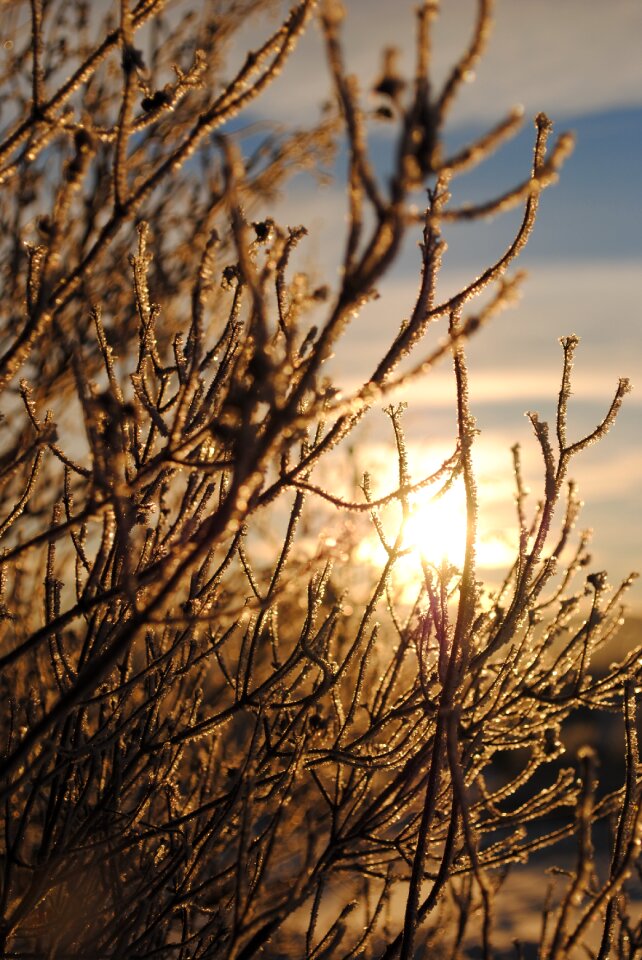 Cold season december