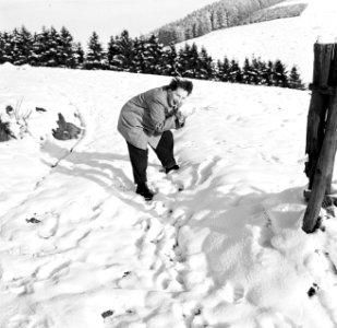 Hilde Eschen in de sneeuw, Bestanddeelnr 254-3483