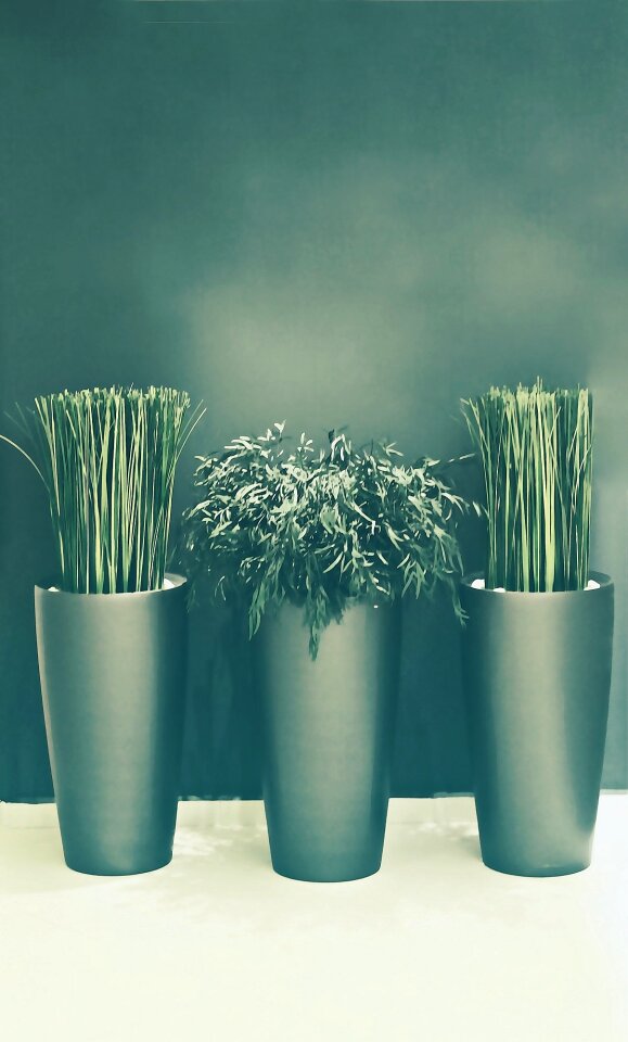Rest peaceful mood