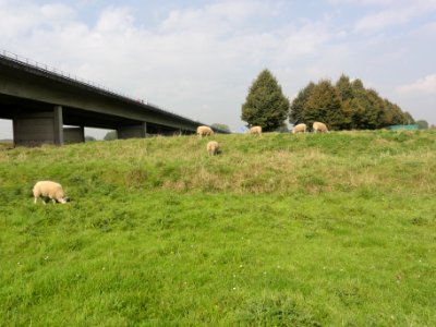 Heumen, kasteelterrein 02