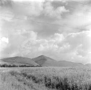 Heuvellandschap in de omgeving van Nazareth, Bestanddeelnr 255-0818