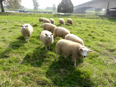 Heumen, kasteelterrein 04