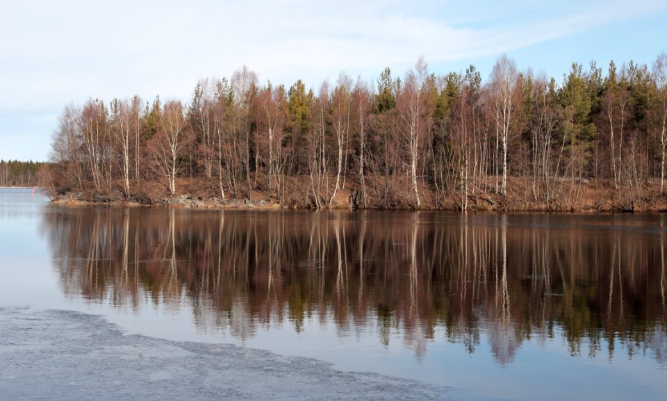 Hevossaari Oulu 20200404