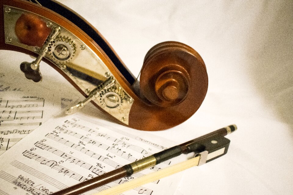 Sheet music bassist musician