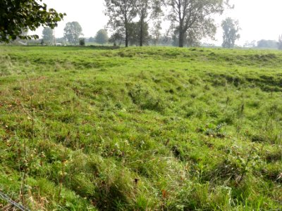Heumen, kasteelterrein 03
