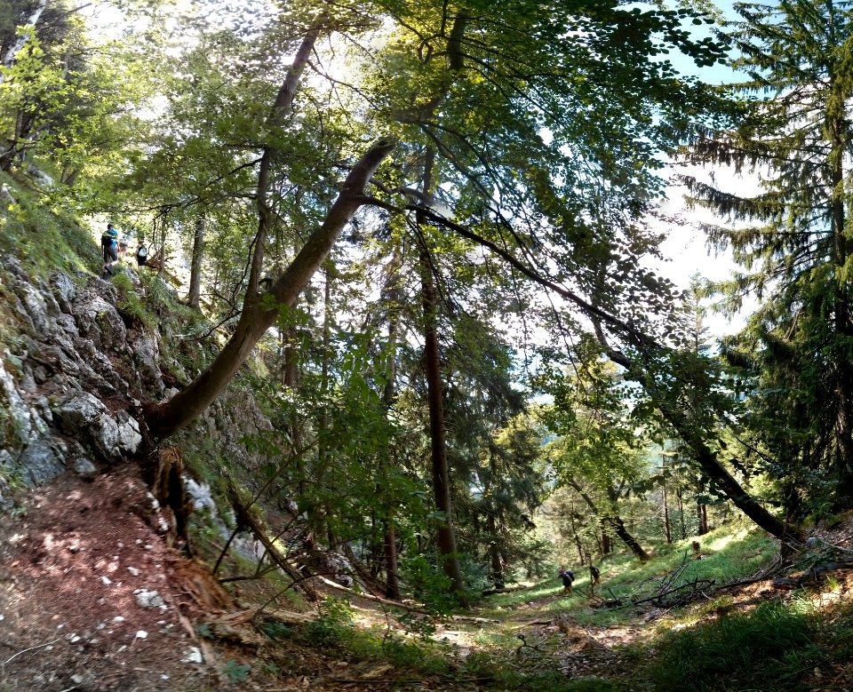 Heuberg-2015-08-04-1
