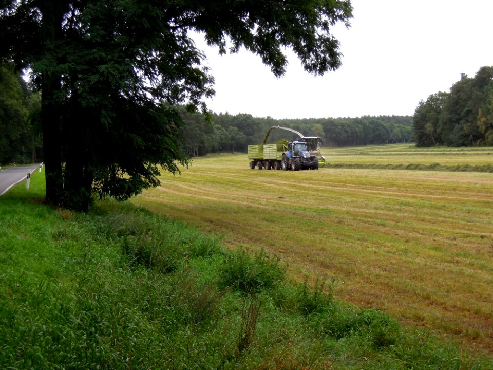 Heuernte bei Wergzahna im September 2017