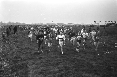 Het veld van lopers, Bestanddeelnr 919-7815