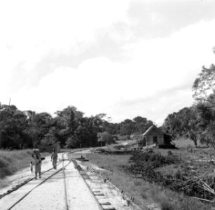 Het tracee van de goudveldentrein tussen Paramaribo en Kabelstation, Bestanddeelnr 252-5978
