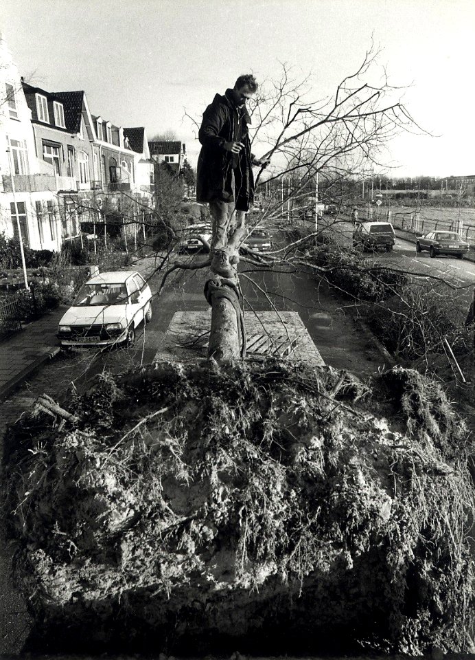 Het verwijderen van tien Lindenbomen aan de Kleverlaan. Aangekocht in 1991 van United Photos de Boer bv. - Negatiefnummer 33437 K 6 a. - Gepubliceerd in het Haarlems Dagblad van 07-12-1990. Identifica