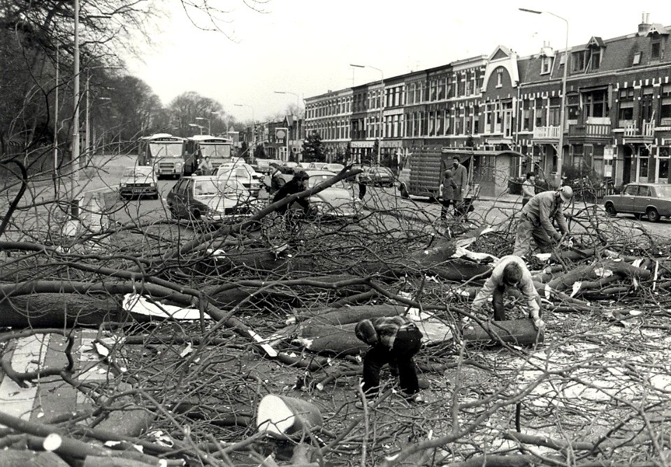Het verwijderen van een omgewaaide boom (na een storm met windkracht 12) op de Schoterweg, ziende naar het noorden. Aangekocht in 1983 van fotograaf C. de Boer. - Negatiefnummer 22738 k 4. -, NL-HlmNHA 54013915