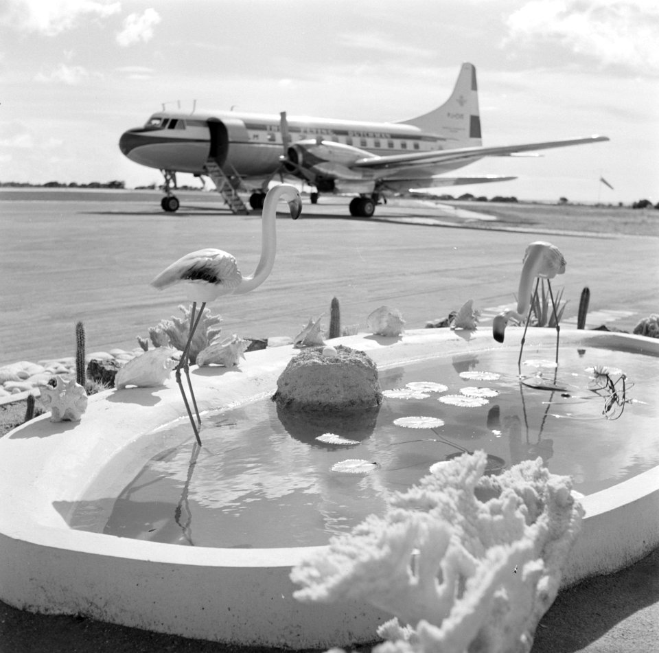 Het vliegtuig van het koninklijk gezelschap op vliegveld Flamingo op Bonaire, Bestanddeelnr 252-3959