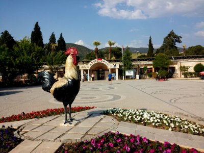 Hierapolis Antique Pool and Statue of Denizli rooster