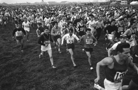 Het veld van lopers, Bestanddeelnr 919-7816