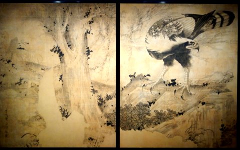 Hawk by Soga Shohaku - Museum of Fine Arts, Boston - DSC02741