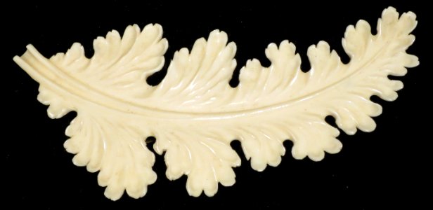 Hawaii school carved ivory brooch depicting a leaf, Honolulu Museum of Art photo