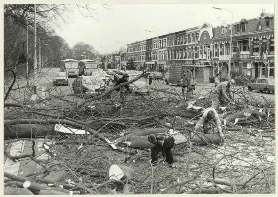Het verwijderen van een omgewaaide boom op de Schoterweg, ziende naar het noorden. NL-HlmNHA 54013915