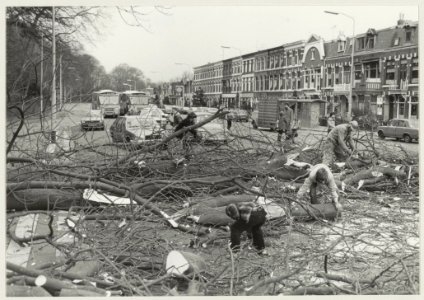 Het verwijderen van een omgewaaide boom op de Schoterweg, ziende naar het noorden. NL-HlmNHA 54013915
