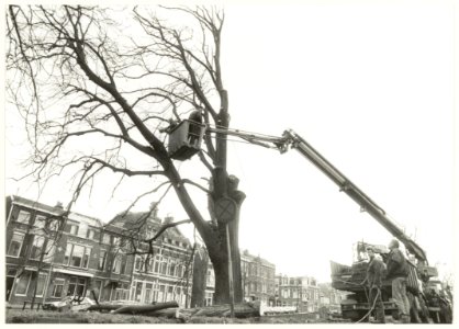 Het verwijderen van een 130 jaar oude, zieke Linde aan de Kampervest. NL-HlmNHA 54032233