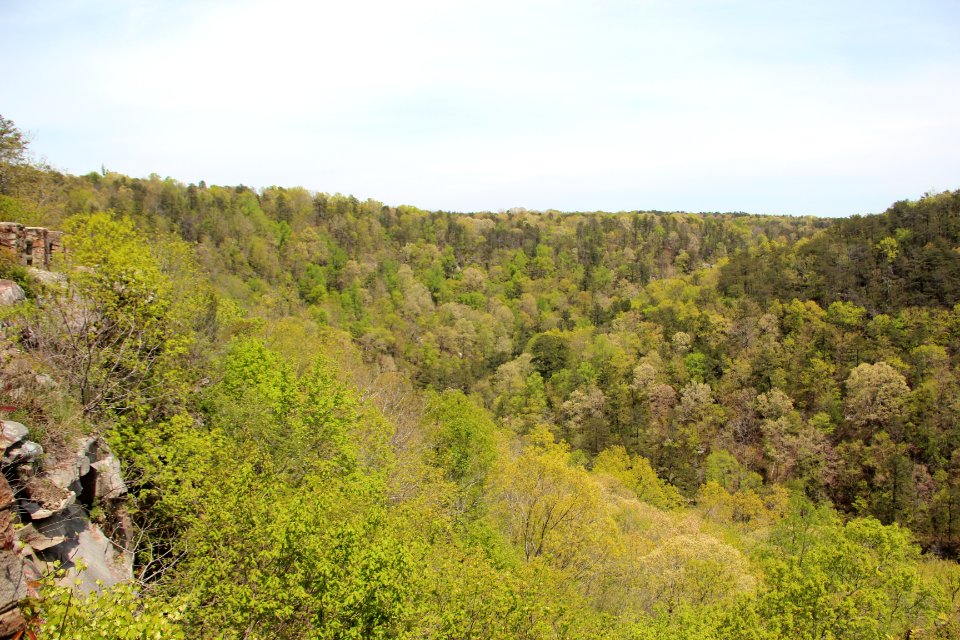 Hawks Glide Overlook, Little River Canyon, April 2018