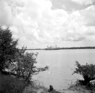 Het vrachtschip Alcoa op de Surinamerivier, Bestanddeelnr 252-6194