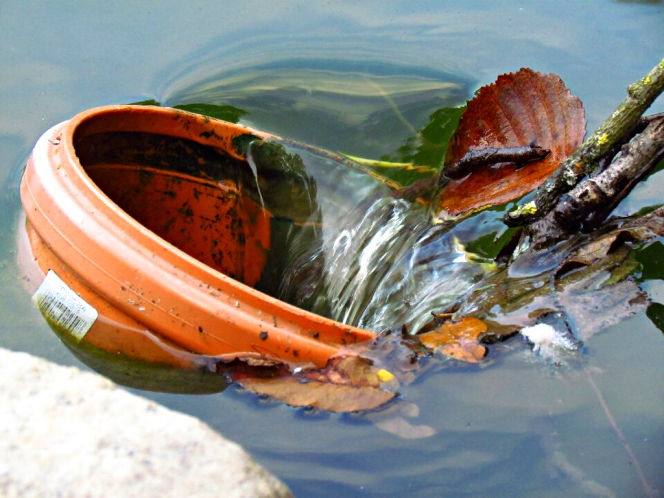 Water various pond