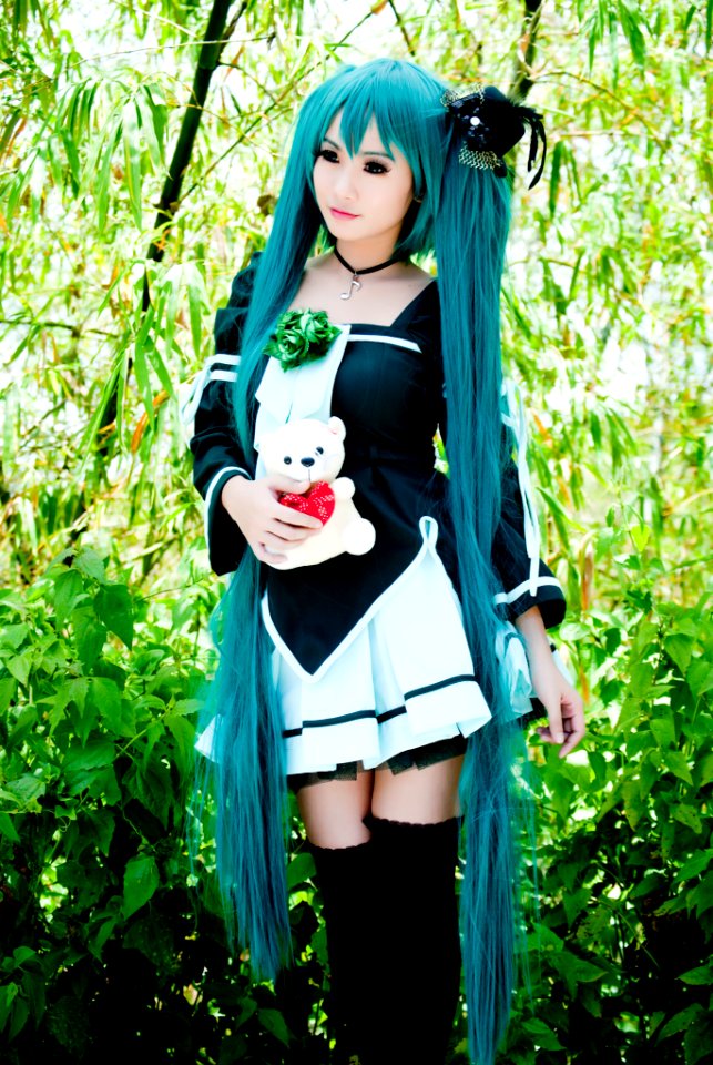 Hatsune Miku 01 (8289077)