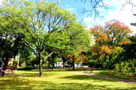 Hastings Square - Cambridge, MA - DSC07505