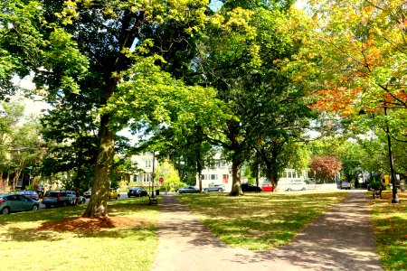 Hastings Square - Cambridge, MA - DSC07510