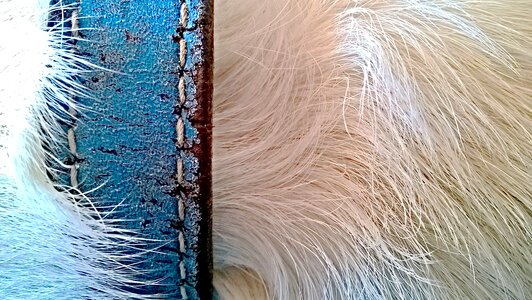 Leather old white