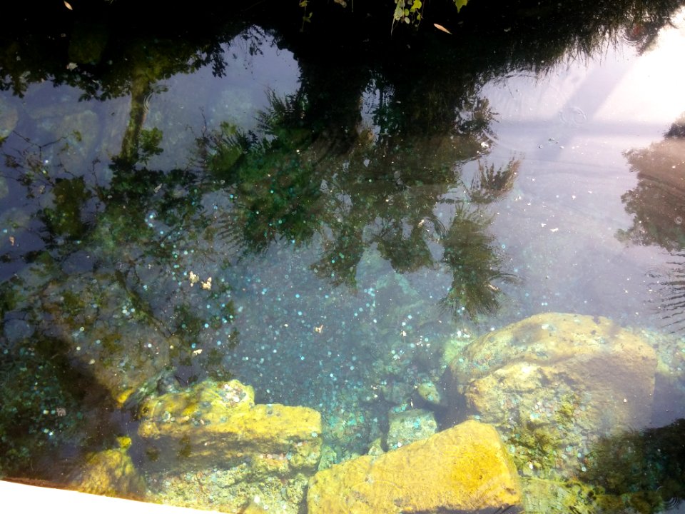 Hierapolis dilek havuzu