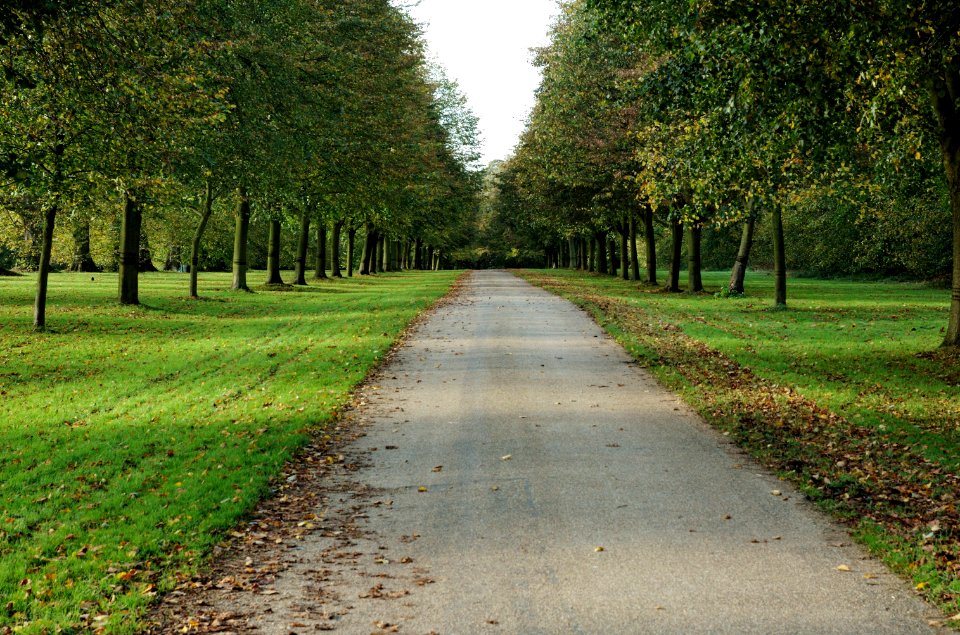 Hatfield-Park-20051105-004