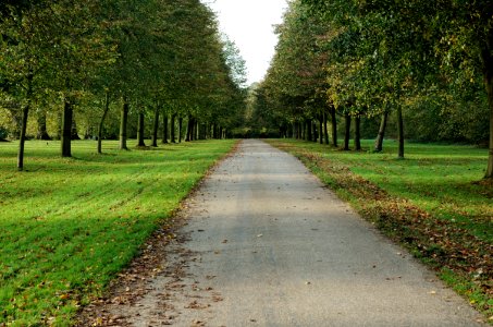 Hatfield-Park-20051105-004