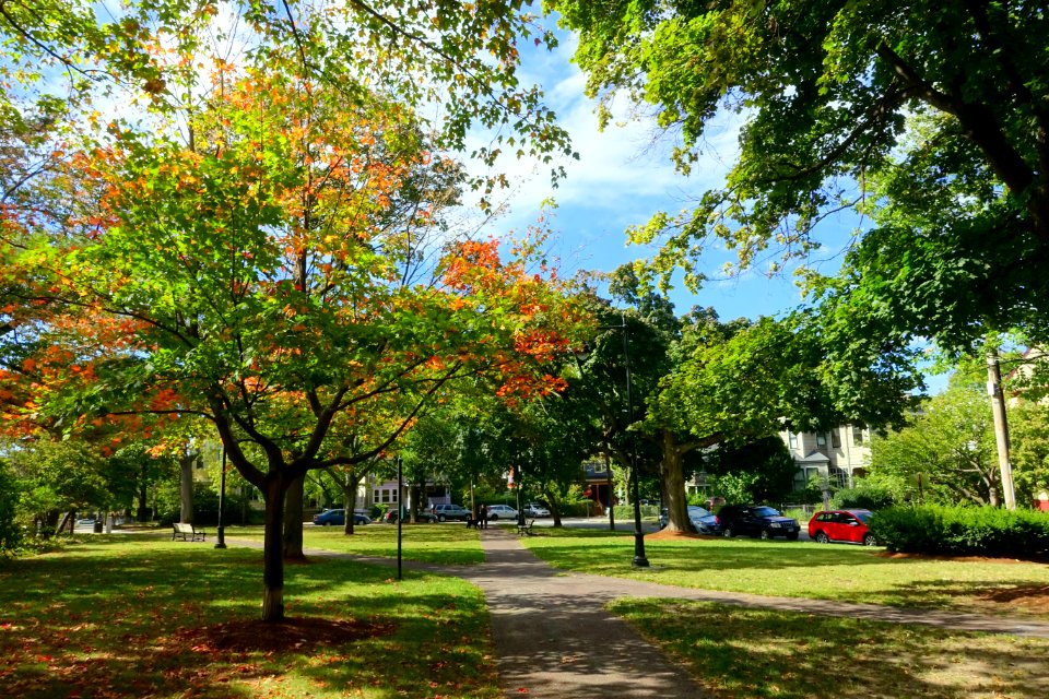 Hastings Square - Cambridge, MA - DSC07512