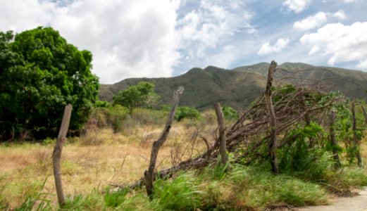 Hato de San Juan Bautísta