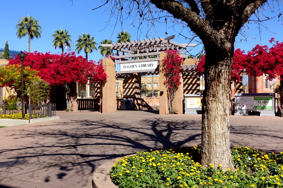 Hayden Library entrance - Arizona State University - Tempe, AZ - DSC05966