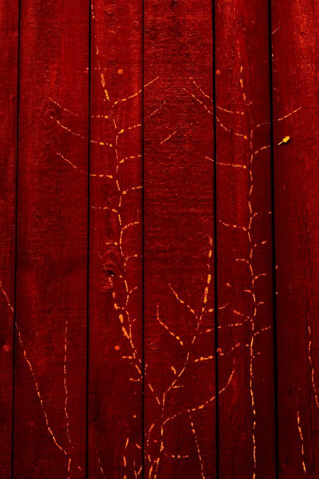 Structure grain pattern